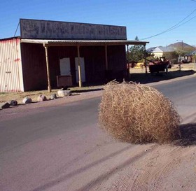 tumbleweed-through-ghost-town
