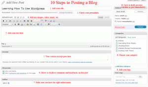 10 Steps to Posting a WordPress Blog
