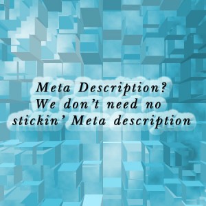 Meta Tag descriptions