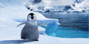 Penguin image