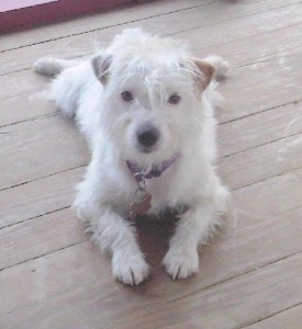 Yeah My Name is LucyLu