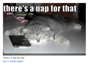 CatNap