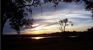 Find Your Sun MS Sunrise