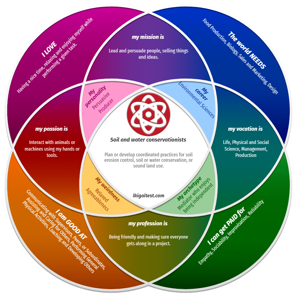 Example Ikigai