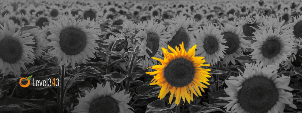 How to Get Blogging Ideas From Social Media