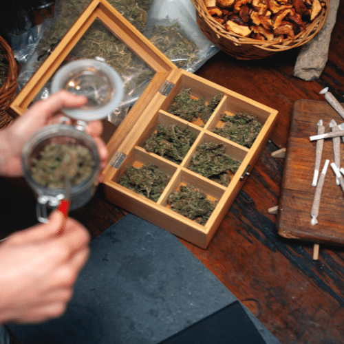 shop owner rolls cannabis joints in preparation of opening for customers