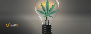 lightbulb with a marijuana leaf inside: cannabis social media ideas concept