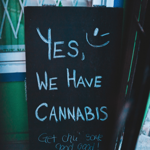 street sign " Yes, we have cannabis"