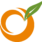 Level343 Orange Logo