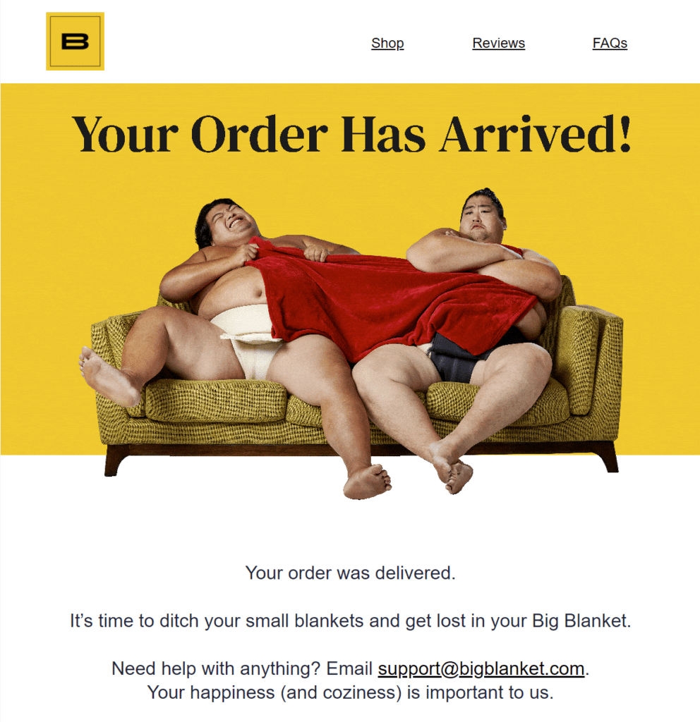 (Email) Your order has arrived