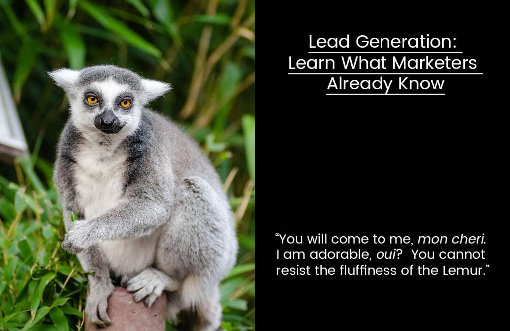A Lemur talks lead generation
