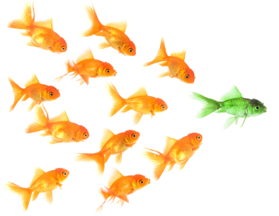 Are You a Leader?