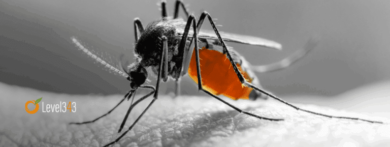 Don't Let the Wrong Person Handle Your Company Blog