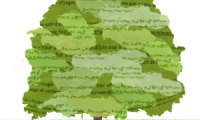 organic-SEO-content-300x275