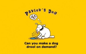 pavlovs-dog-416x266