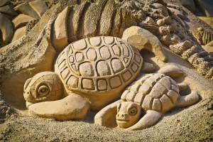 Sand turtles