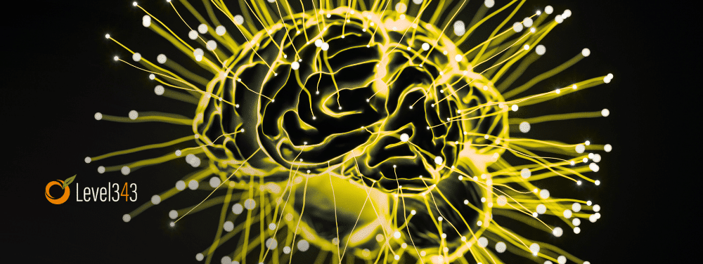 digitized brain symbolizing google's rankbrain