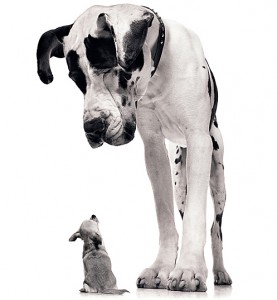 Inbound Marketing