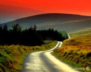 winding-road