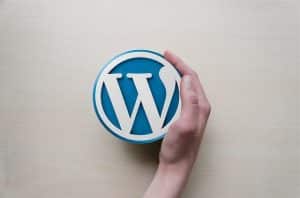 A hand touching a WordPress logo against a white background, representing common WordPress problems.